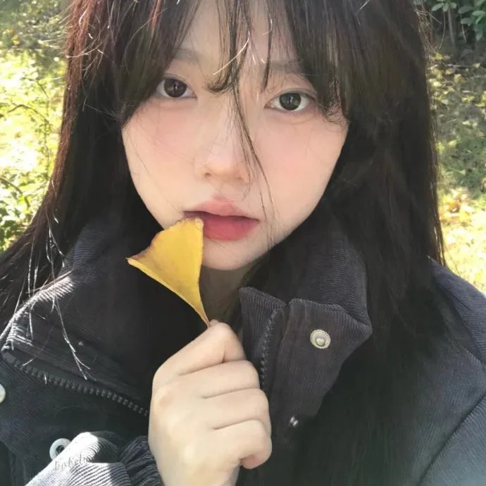 谍网亡魂